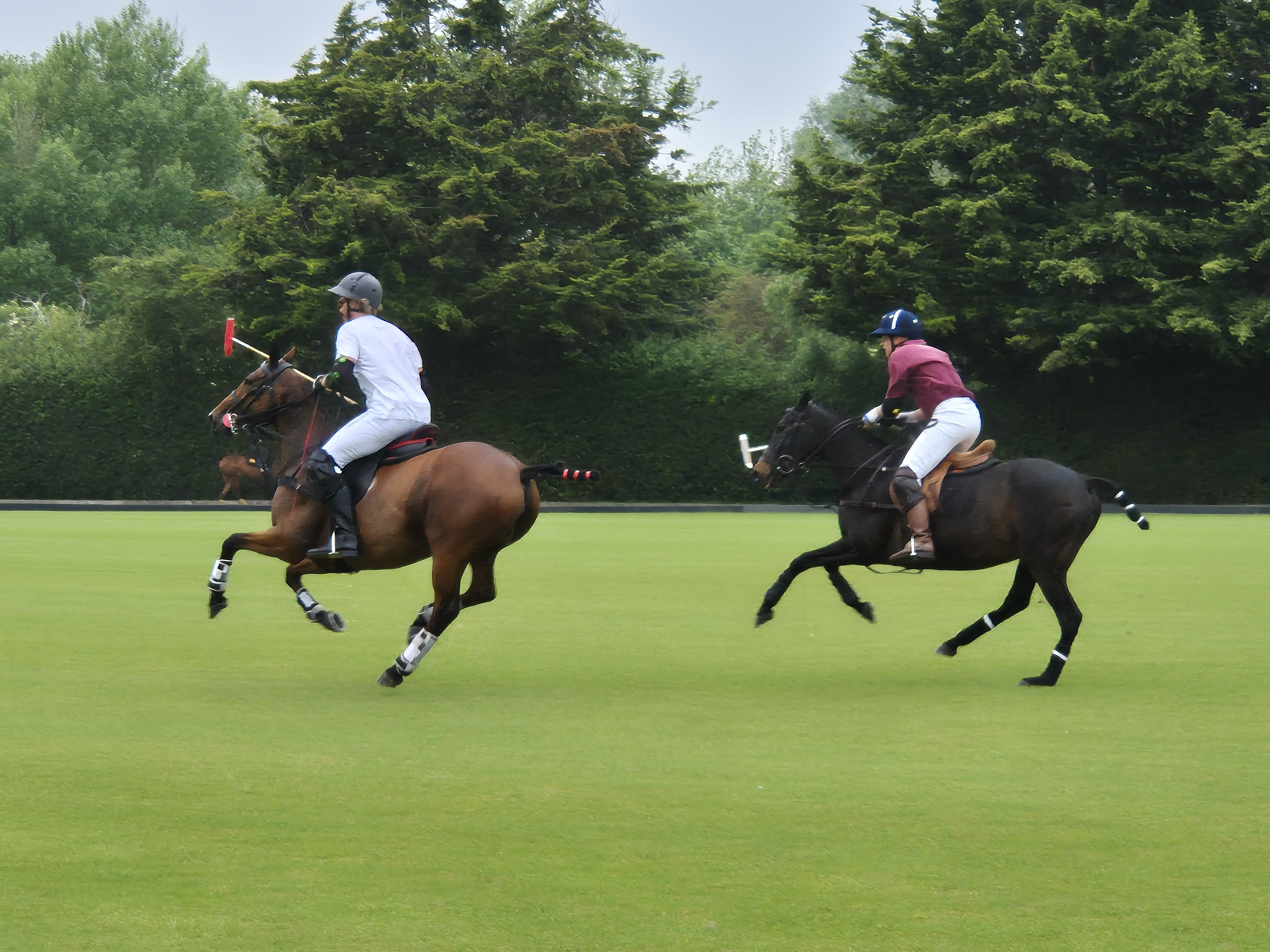 Ham Polo Club